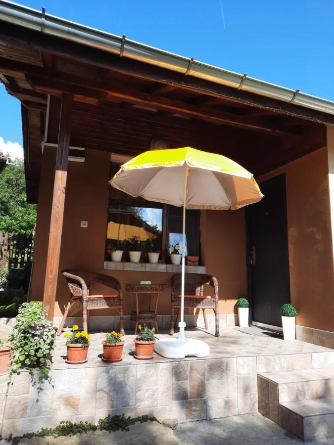 Lazar Raykov Holiday home Ribarica